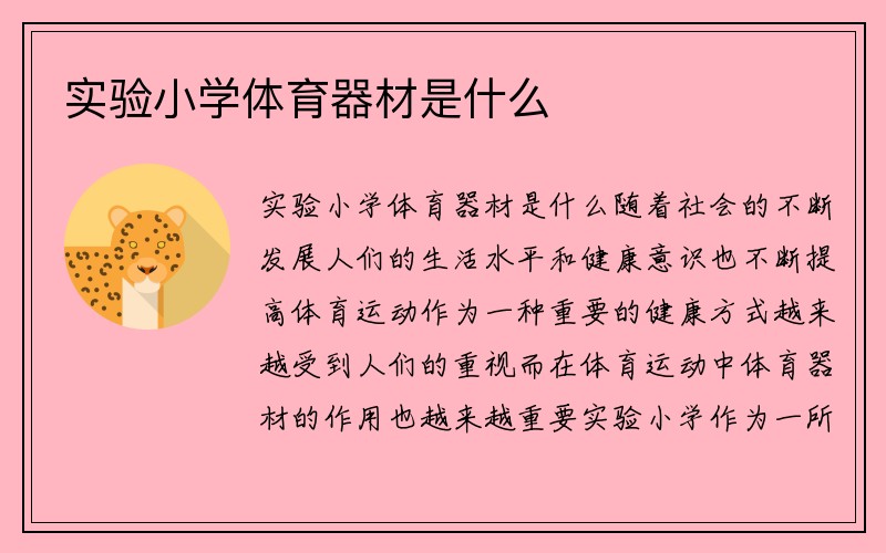 实验小学体育器材是什么