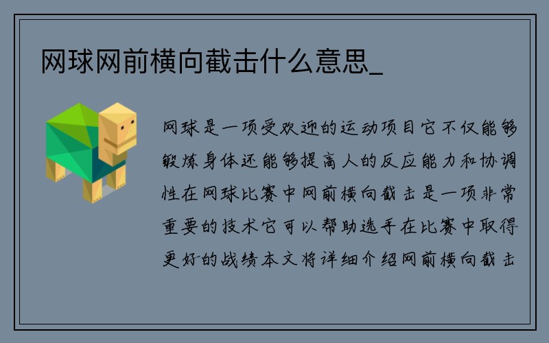 网球网前横向截击什么意思_