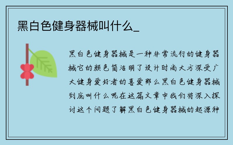 黑白色健身器械叫什么_