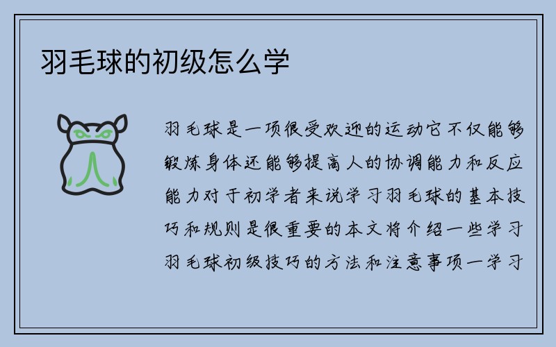 羽毛球的初级怎么学