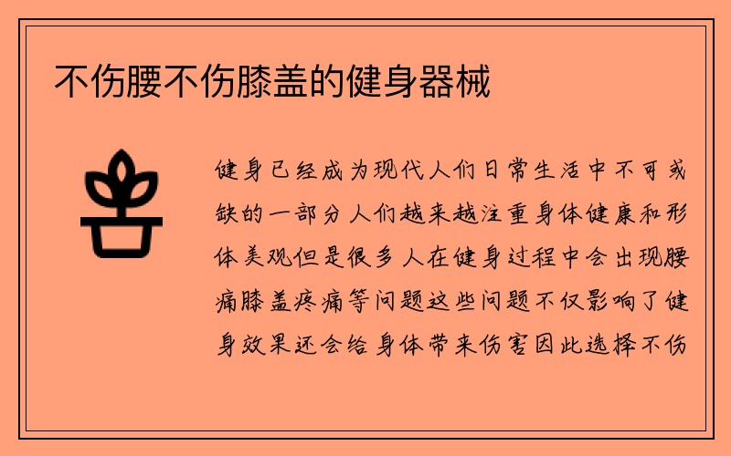 不伤腰不伤膝盖的健身器械