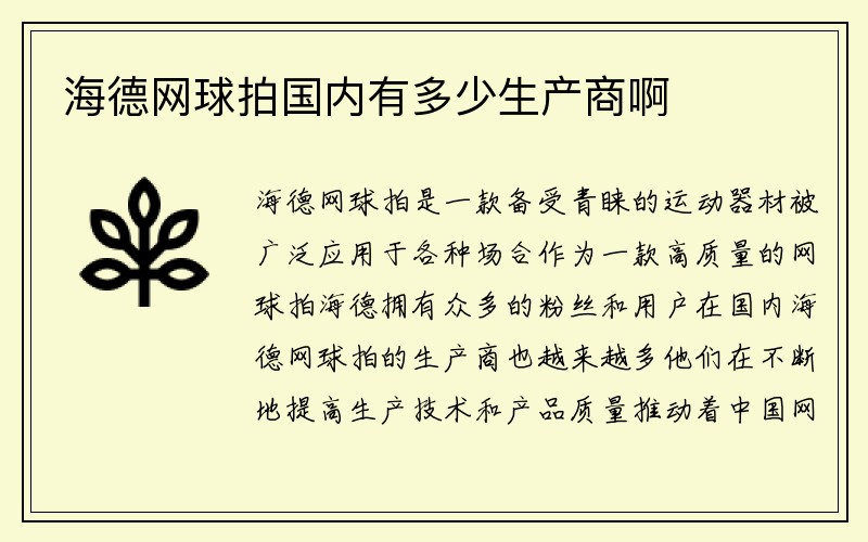 海德网球拍国内有多少生产商啊