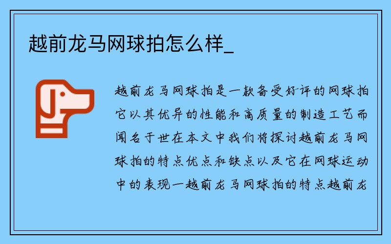 越前龙马网球拍怎么样_