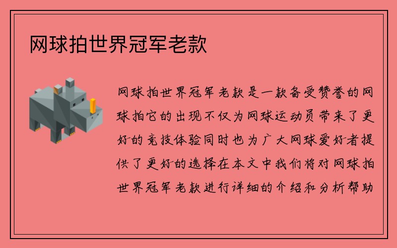 网球拍世界冠军老款